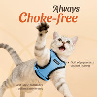 Cat Harness and Leash Set, Adjustable and Escape Proof - Light Blue / Xxs - image 2