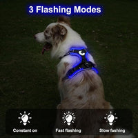 Taglory Light Up Dog Harness, Rechargeable No Pull Dog Vest with 3 Lightning Modes, Reflective Dog Harness with 2 Leash Clips & 4 Adjustable Slide Strips for Large Dogs, Black-Blue, L