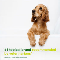 Douxo S3 SEB Dog Seboregulating Shampoo, 0.5% Ophytrium - image 3