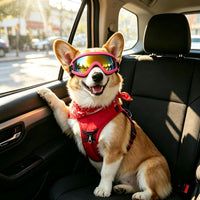 Enjoying Clear Dog Goggles Medium to Large Breed - Gloss Pink / Medium Breeds - image 2