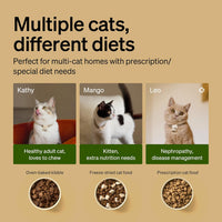 PETLIBRO RFID Automatic Cat Feeder - Brown / 3L*2 pack - image 4