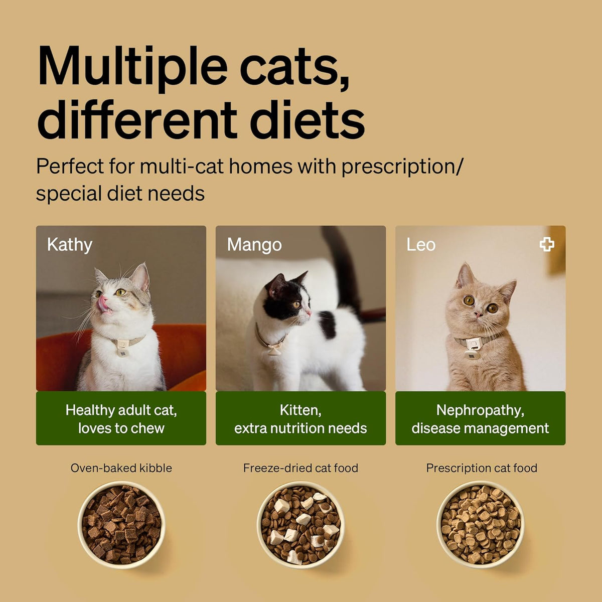 PETLIBRO RFID Automatic Cat Feeder - Brown / 3L*2 pack - image 4