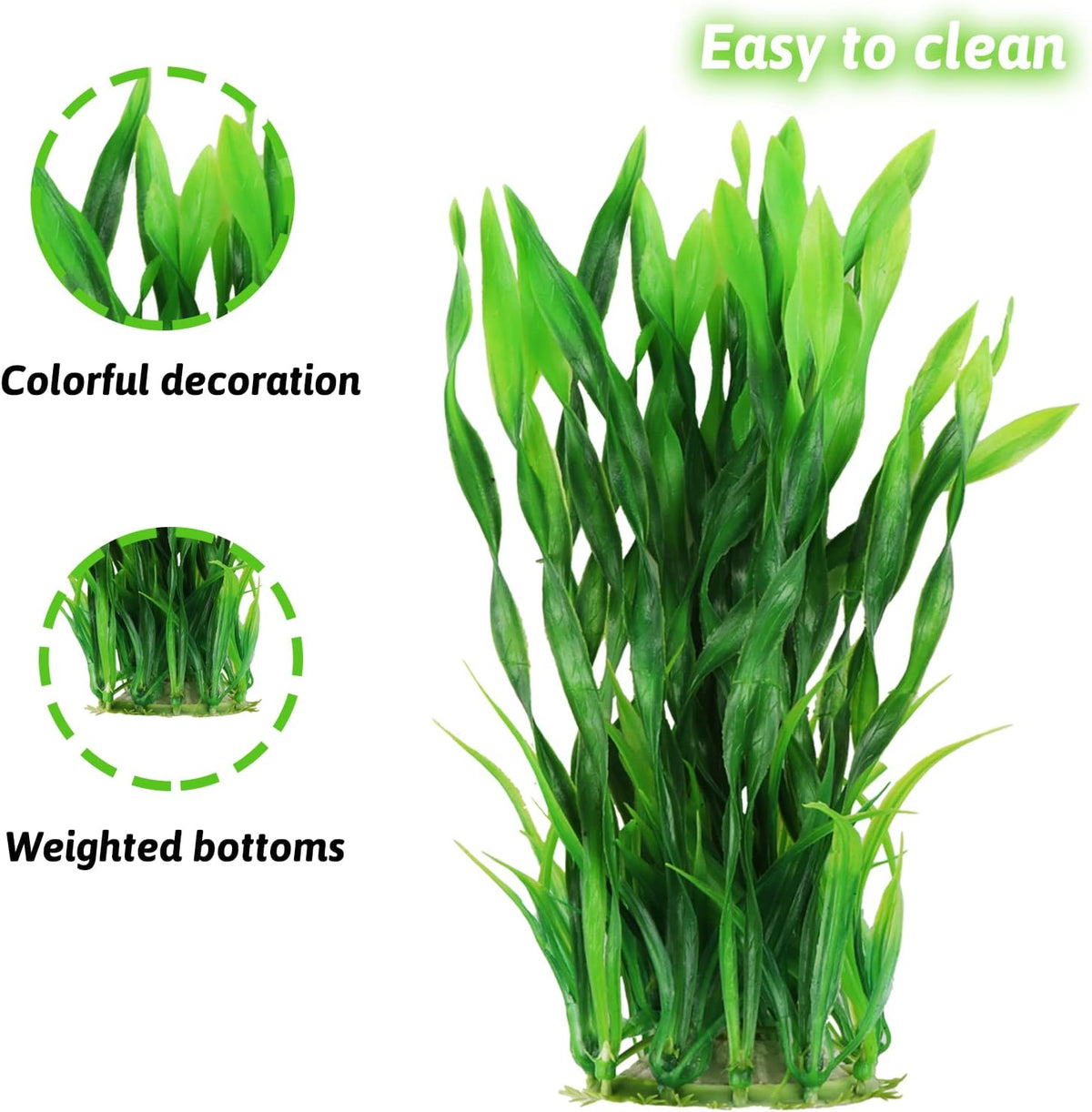 Aquarium Plants, Small to Large - image 3
