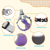 Dog Harness with Leash Set, No Pull Adjustable Step in Pet Vest – Essentials for Dogs - Purple / L - image 2