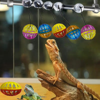 6 Pack Bearded Dragon Toys Accessories - image 3