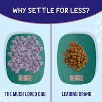 Much Loved Dog™ - Blueberry Antioxidant REFILL, 6 oz.