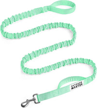 OutdoorMaster Bungee Dog Leash - Mint Green / Max: 6'7"