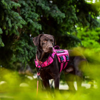 Dog Harness for Large Dogs - Pink / L(Neck:18-24",Chest:25-36"),45-80 lbs - image 2