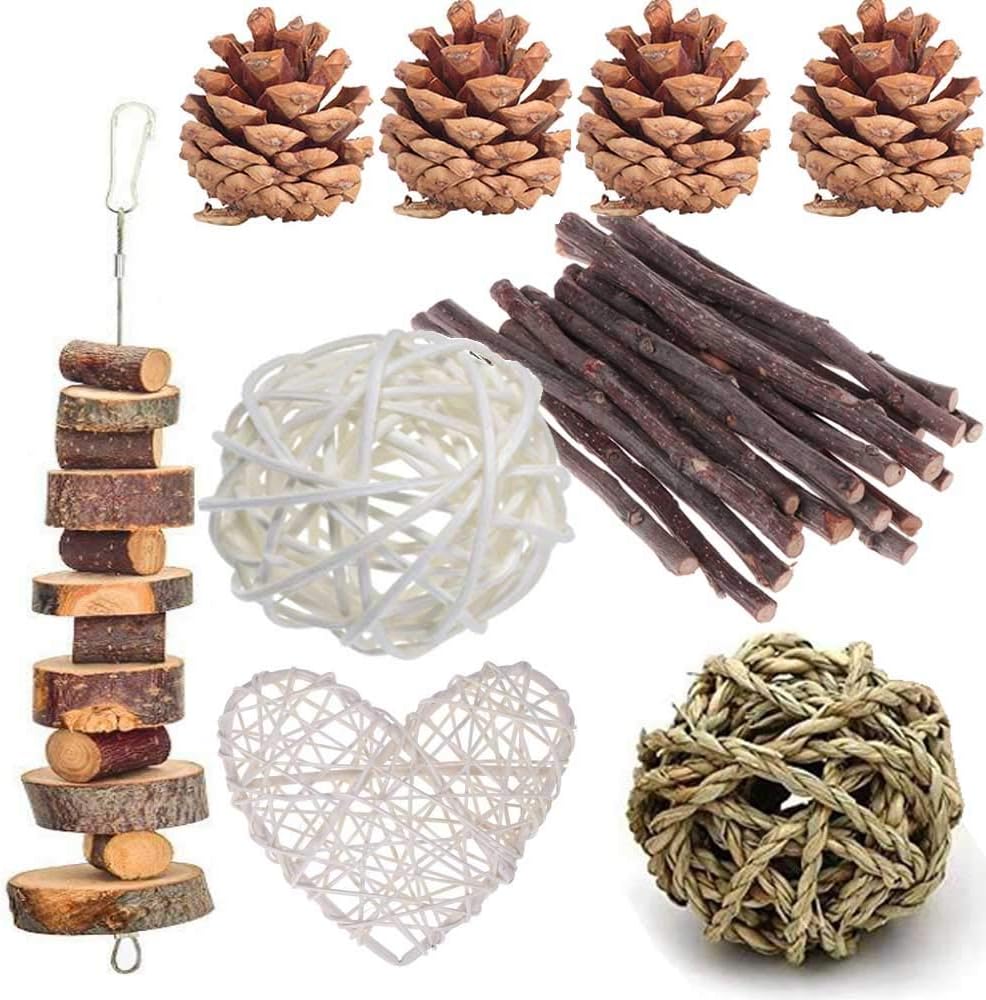 ANDES Rabbit Chew Toys, Pet Bunny Tooth Chew Toys Organic Natural Apple Wood Grass Cake Ideal - 13PCS