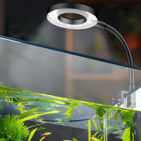 Pawfly 6 W LED Aquarium Light for 1 to 5 Gallon Fish Tanks Clip On - For 1 to 5 Gallon Fish Tank