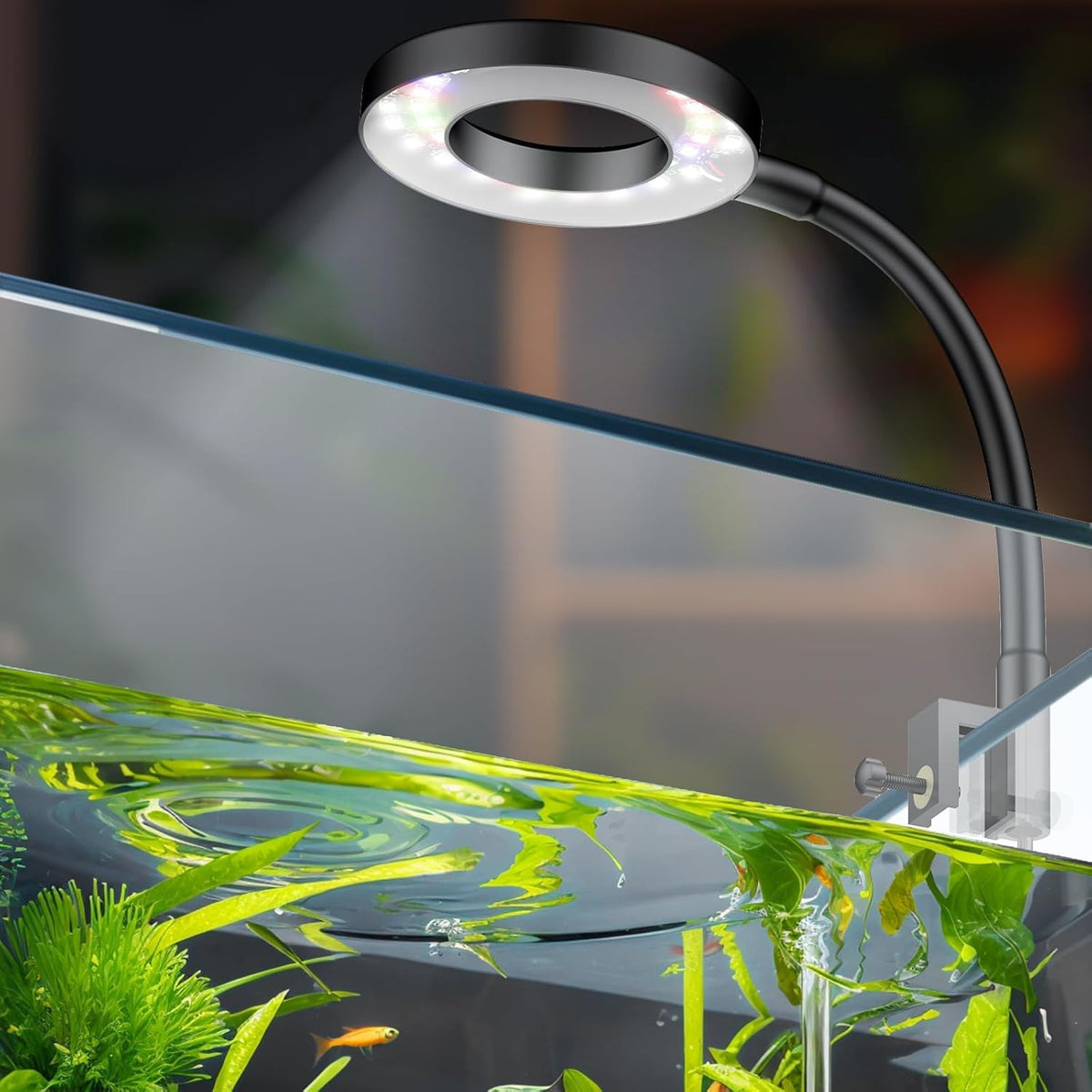 Pawfly 6 W LED Aquarium Light for 1 to 5 Gallon Fish Tanks Clip On - For 1 to 5 Gallon Fish Tank