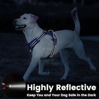 No Pull Dog Harness, Reflective Puppy Vest for Small Medium Large Sized Dog(Prussian Blue,M)