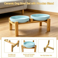 Ceramic Cat Bowls, Shallow Cat Dishes for Food and Water - Sky blue elevated - image 4