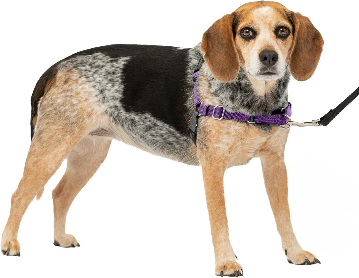PetSafe Easy Walk Harness, No Pull Dog Harness, Royal Blue - Deep Purple/Black / Small/Medium / 1 - image 2