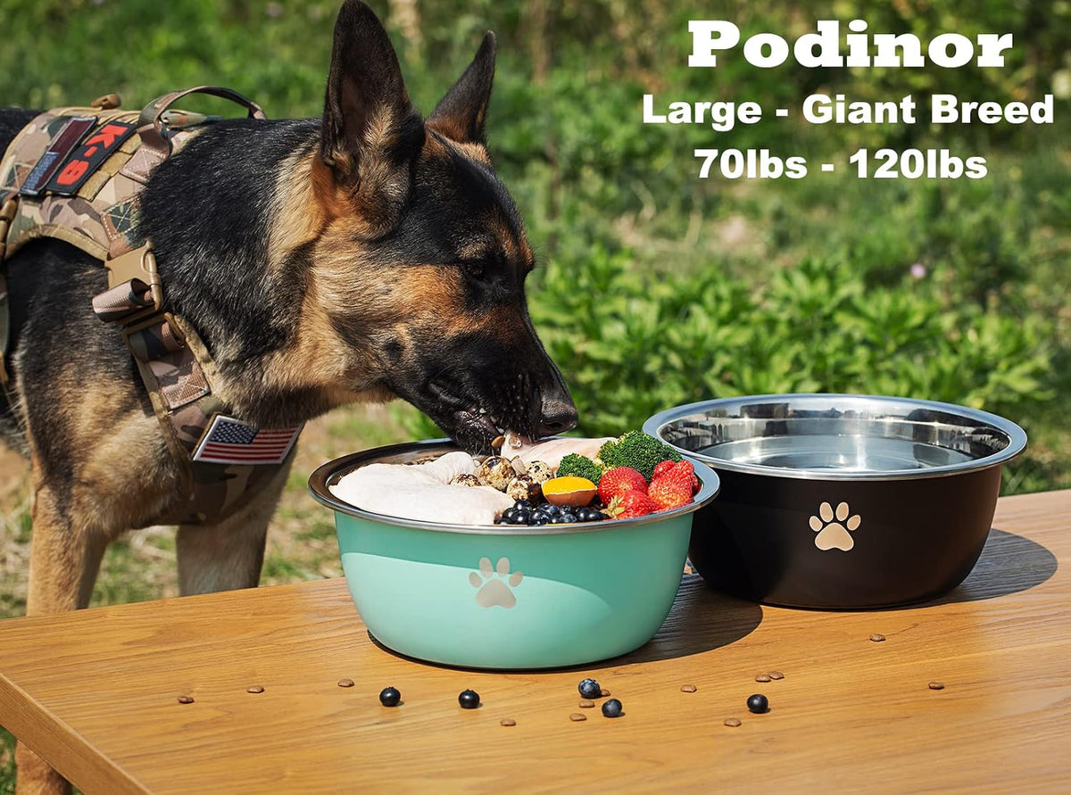 Large Dog Water Bowl 2 Pack, Aqua - White - 2 Pack / 1.3 Gallons - XL (100lb + breed) - image 2