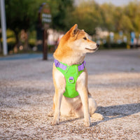 PHOEPET Upgraded No Pull Dog Harness, Reflective Adjustable Vest – Essentials for Dogs - Green Base & Purple Straps / Extra Large - image 3