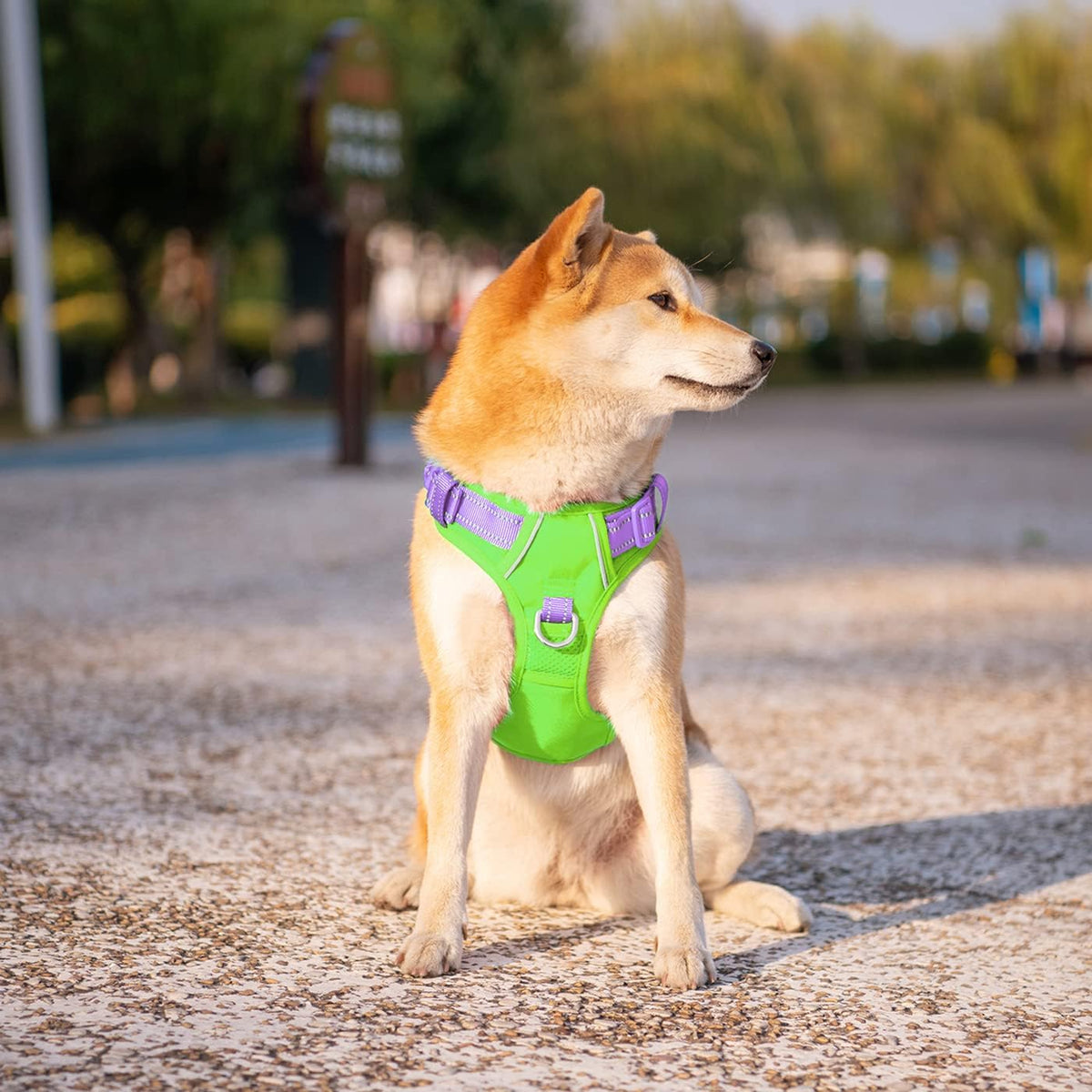 PHOEPET Upgraded No Pull Dog Harness, Reflective Adjustable Vest – Essentials for Dogs - Green Base & Purple Straps / Extra Large - image 3