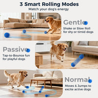 2-Pack Interactive Dog Toys - image 2