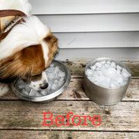 Feedoo 1Gallon Double Layer 304 Stainless Steel Dog Bowl - 3.8L - image 4