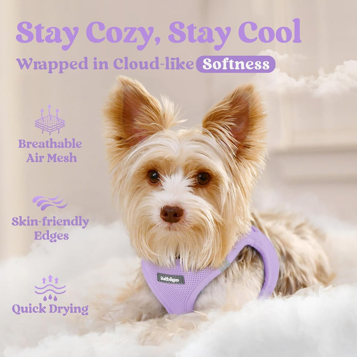 rabbitgoo Step-in Small Dog Harness - Light Purple / Xxxs(chest:10.8"-11.8") - image 3