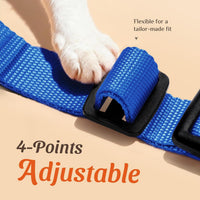 Cat Harness and Leash Set, Adjustable and Escape Proof - Blue / S - image 3