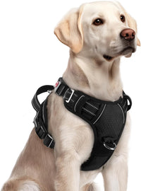rabbitgoo Dog Harness for Large, No Pull 3 Buckles Easy On & Off – Essentials for Dogs - Black / Large
