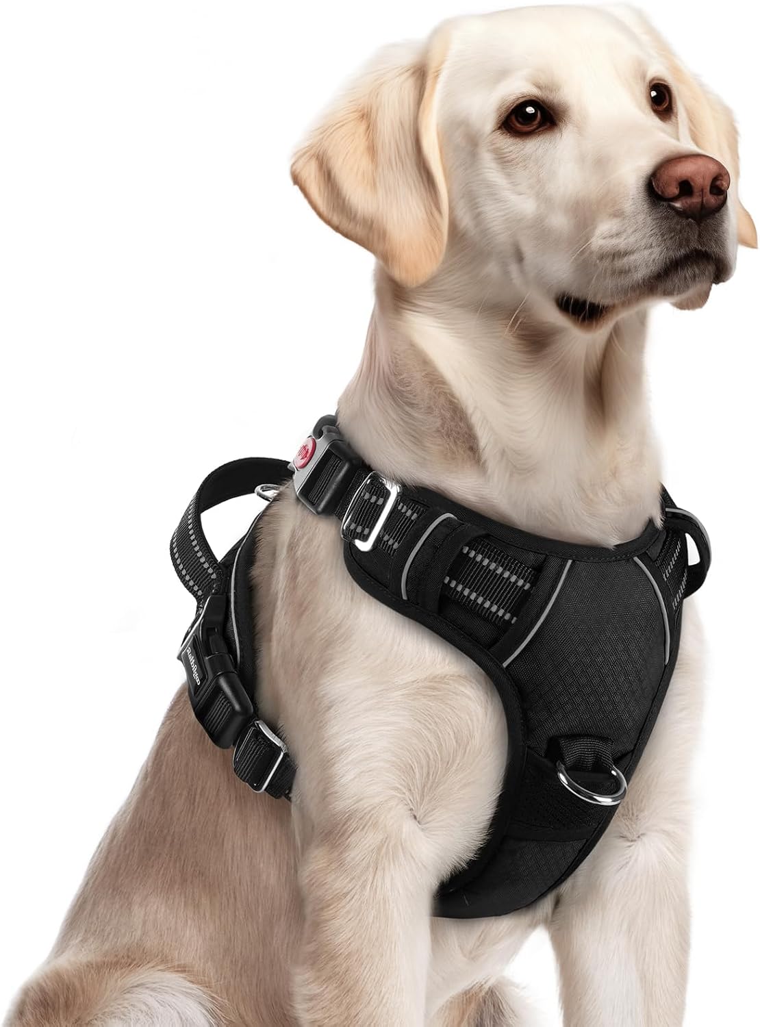 rabbitgoo Dog Harness for Large, No Pull 3 Buckles Easy On & Off – Essentials for Dogs - Black / Large