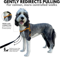 ShawnCo Dream Walk Pro No-Pull Dog Harness – Essentials for Dogs - Large / Sunset Orange - image 2