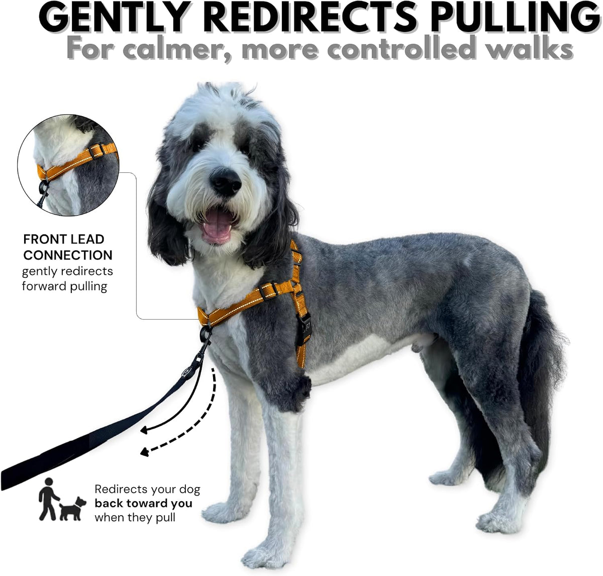 ShawnCo Dream Walk Pro No-Pull Dog Harness – Essentials for Dogs - Large / Sunset Orange - image 2