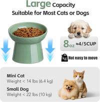 YauYik Small Raised Cat Bowls - GREEN - image 2