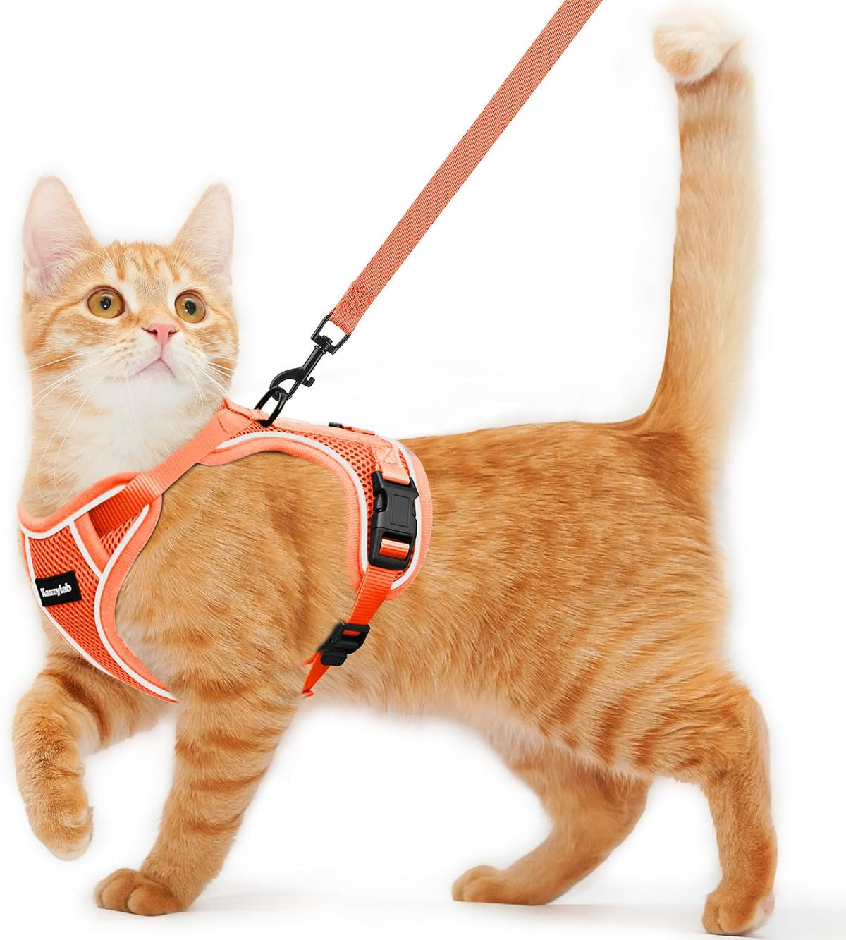 Cat Harness and Leash for Walking Escape Proof Soft Adjustable Cat - Orange / S (7-12lb)