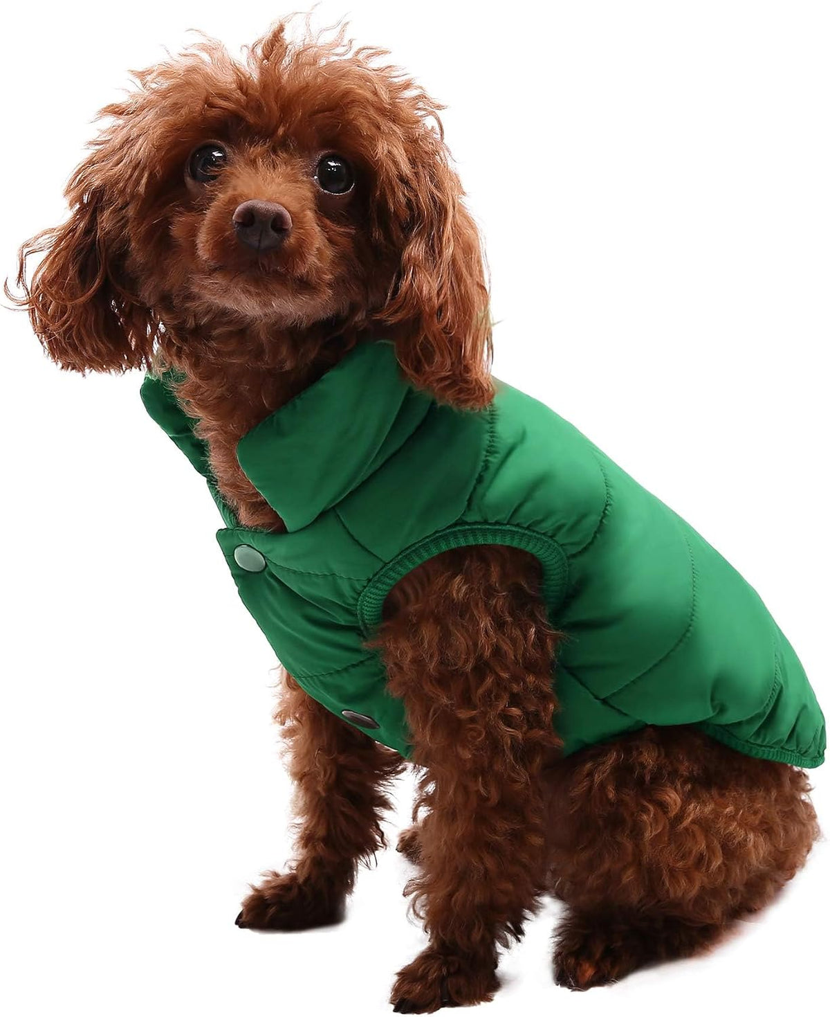 ASENKU Dog Winter Coat Dog Fleece Puffer Jacket for Small Medium - Small / Green - image 4