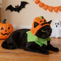 Orgrimmar Halloween Pumpkin Kitty Cat Hat Cosplay Cap Collar Costume - image 4