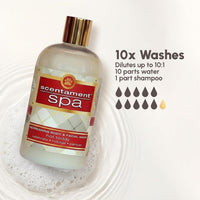 Best Shot Pet Scentament Spa Seasonal Facial & Body Wash - Hot Toddy / 128 Fl Oz - image 3