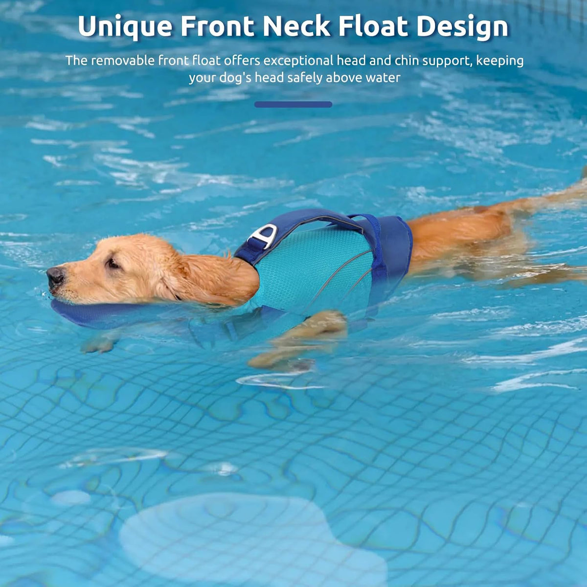 Queenmore Dog Life Jacket with Front Float - X-Large / Blue - image 2
