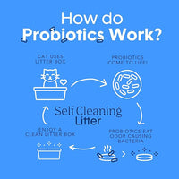 Boxie® Probiotic Cat Litter 40 Day Natural Odor Control, 16lb Clumping Kitty Litter (Clay)