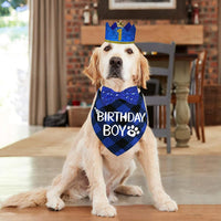 STMK Dog Birthday Party Supplies - Large / Blue - image 2