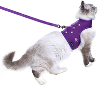 Cat Harness and Leash Set for Walking Escape Proof - Purple / M 5.5-9 lbs