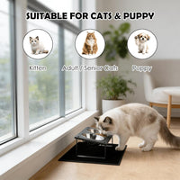 Elevated Cat Bowls with Splash Proof Mat for Kitten Puppy - Silver / 2bowls - image 3