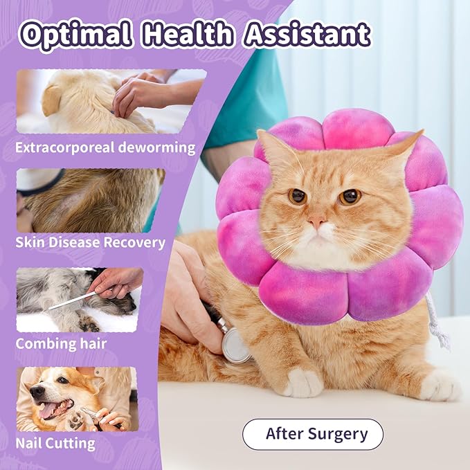 Dog Cat Surgical Recovery Cone Dog Protective Collar, Pet Recovery E-Collar Soft Neck Cone to Stop Licking Wound for Cats & Kittens Small Dog After Surgery