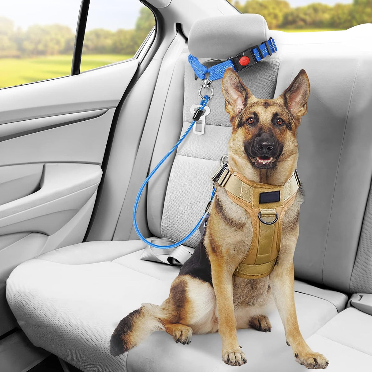 Chew Proof Dog Car Seat Belt - Blue / 2 Pack - image 4