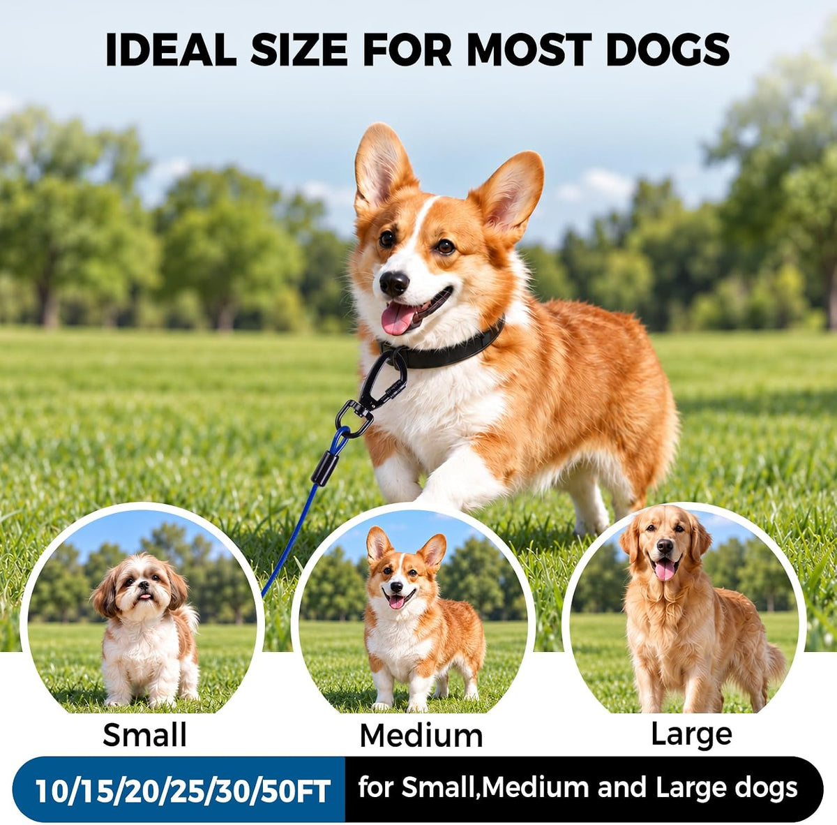 Tie Out Cable for Dogs, 50FT Dog Leads for Yard Chew Proof, Heavy Duty Leash for Large Dogs Up - 250lbs / 20ft / Blue - image 2