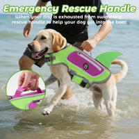 Dog Life Vests for Boating and Swimming, Dog Life Jacket – Essentials for Dogs - Green / X-Large - image 3