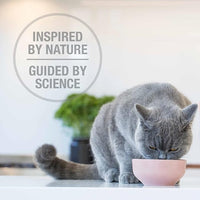 Feline Natural High Protein Dry Cat Food, Freeze-Dried Diet with 98% Meat, Organs & Seafood, No Peas, Grains, or Artificial Additives, Made in New Zealand Beef & Hoki, 3.5oz