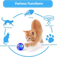 6 Pcs Cat Ball Ghost Hunting Light up Toy - Clear / 2 - image 2