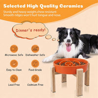 Elevated Slow Feeder Dog Bowl - Orange / 3.2 Cups - image 4