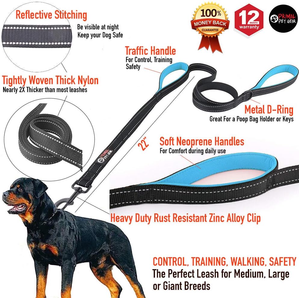 Dog Leash 6ft Long, Traffic Padded Two Handle, Heavy Duty - 6FT / Black-Blue - image 2