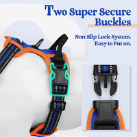 rabbitgoo Dog Harness No Pull with 2 Leash Clips, Adjustable Soft Padded, Reflective Oxford No Choke Pet Vest with Easy Control Handle for Large Dogs, Blue & Orange, L