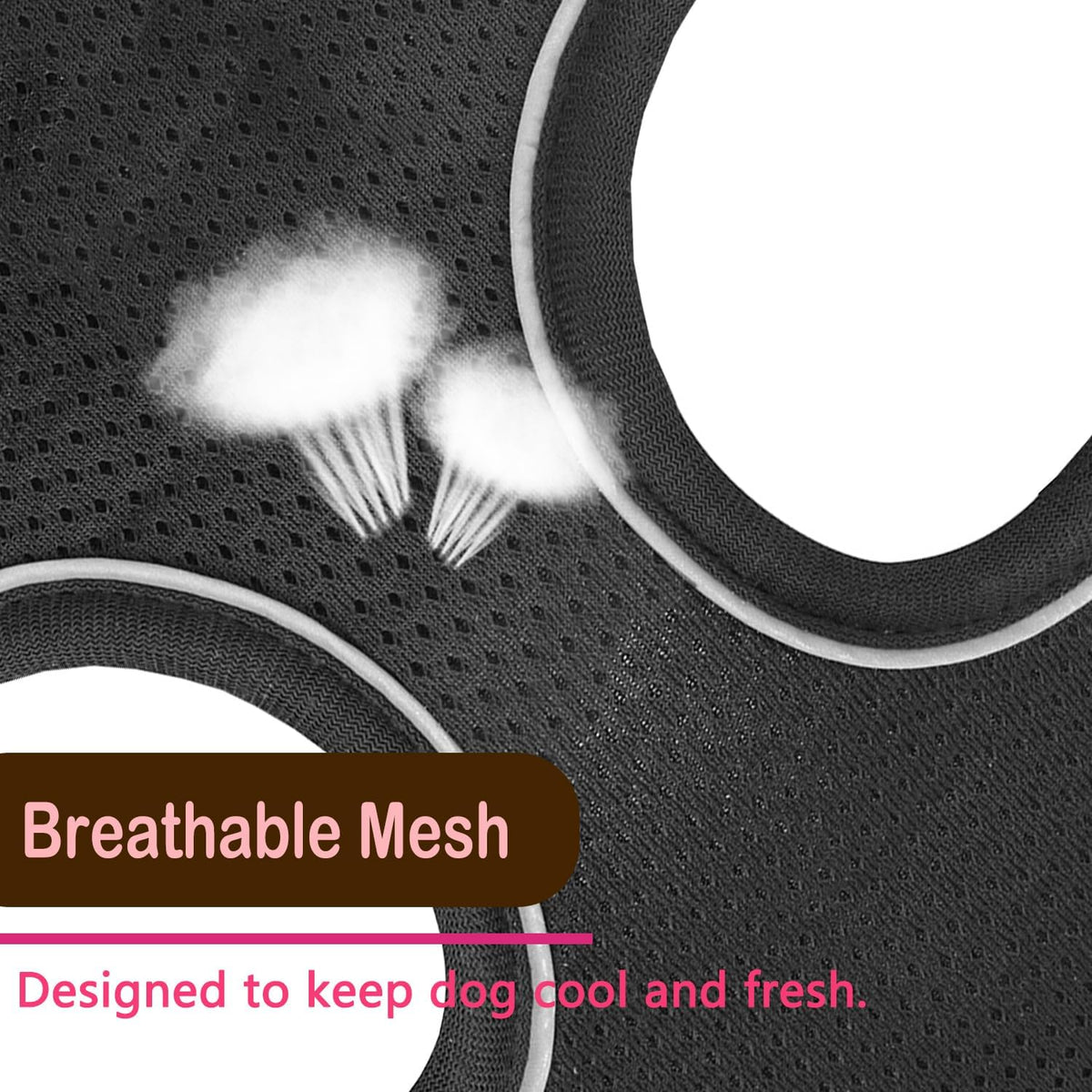 Cat Harness and Leash Set - black-2 / Large(chest:16''-20'') - image 3