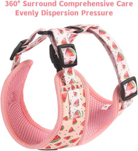 Dog Cat Harness and Leash Set - watermelon / L (Neck 15.7"-21"; Chest 19.6"-28.3") - image 2